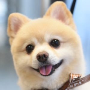 ホームページリニューアル